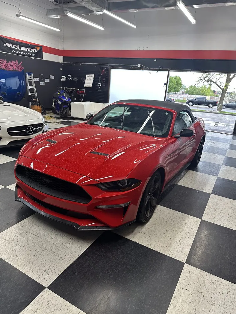 Mustang Convertible photo 2