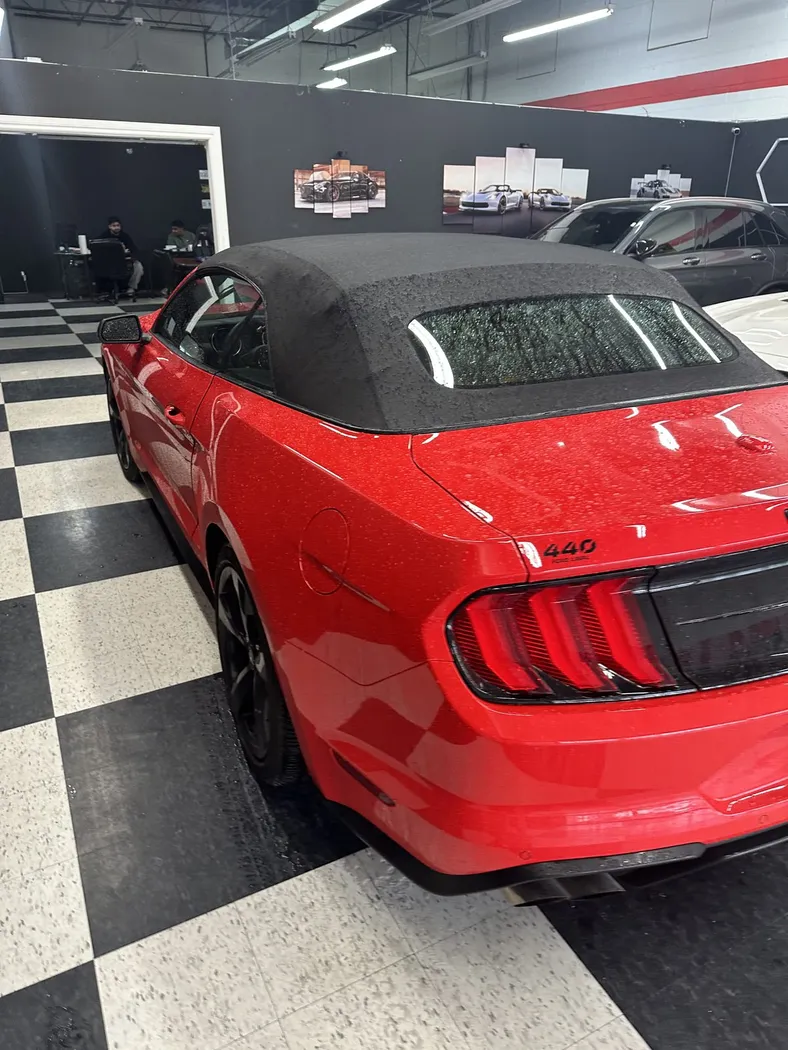 Mustang Convertible photo 3